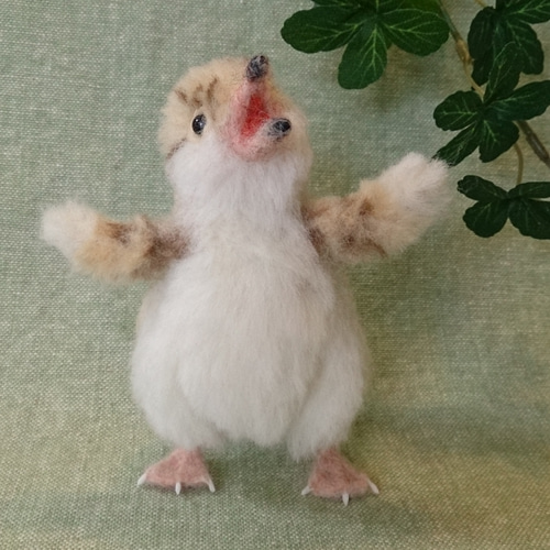 ぴーっ♪コアジサシのひなさん 羊毛フェルト 羊毛フェルト
