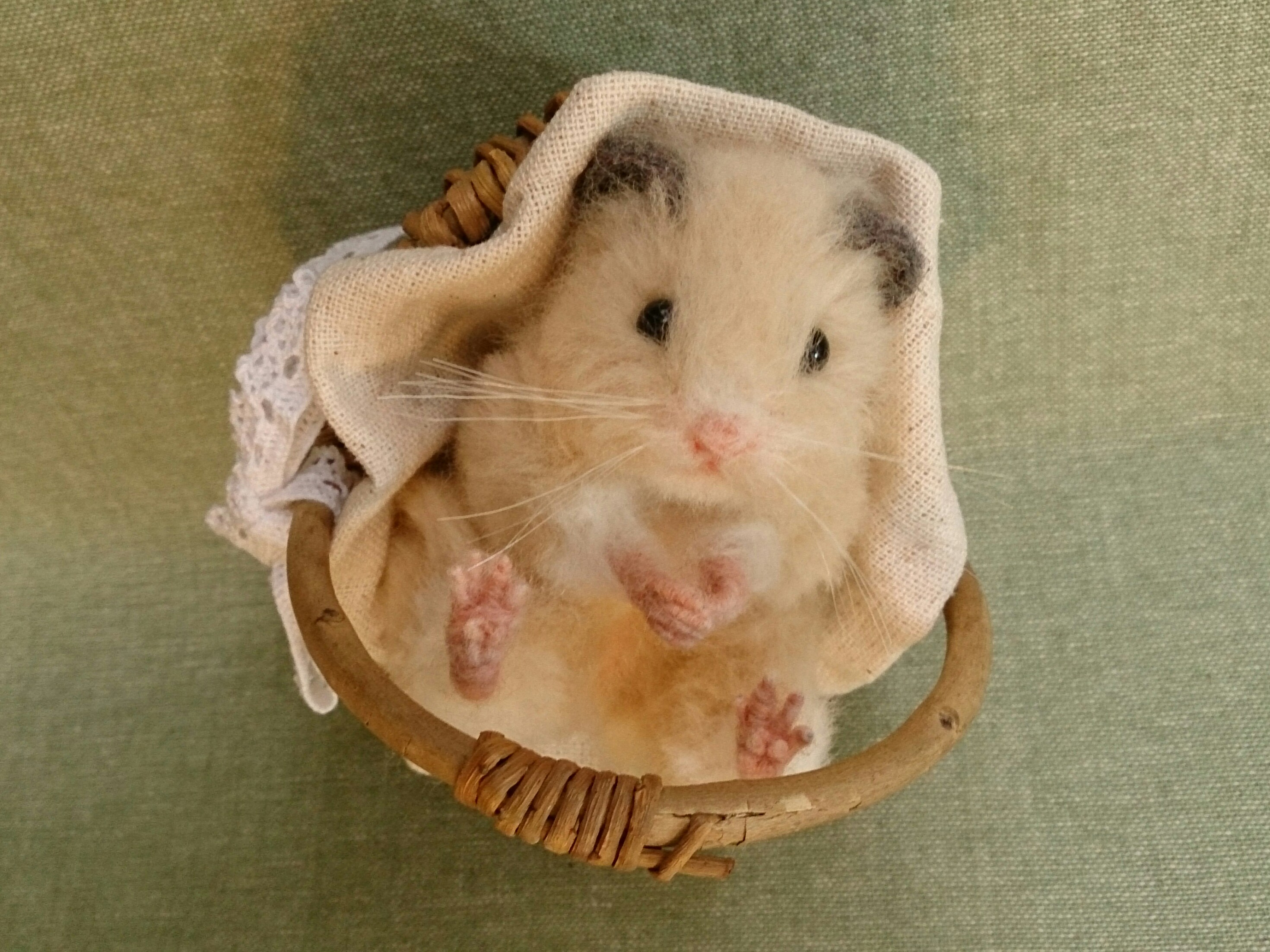 へそ天♪キンクマハムスターさん 羊毛フェルト cococheri 通販