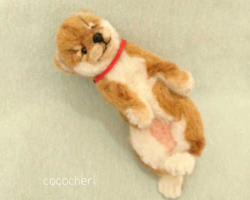 0_d5b4e9b3d84d5b56185a1ee2eb5f