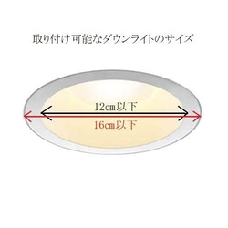  第5張的照片