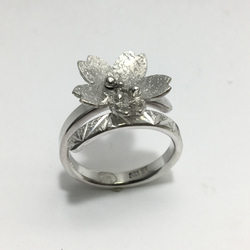 No.225 Cherry blossom ring. 3枚目の画像