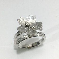 No.225 Cherry blossom ring. 4枚目の画像