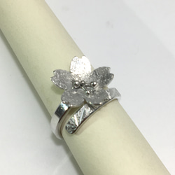 No.225 Cherry blossom ring. 7枚目の画像