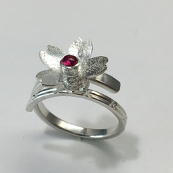 No.248 Beautiful ruby cherry blossom ring. 4枚目の画像