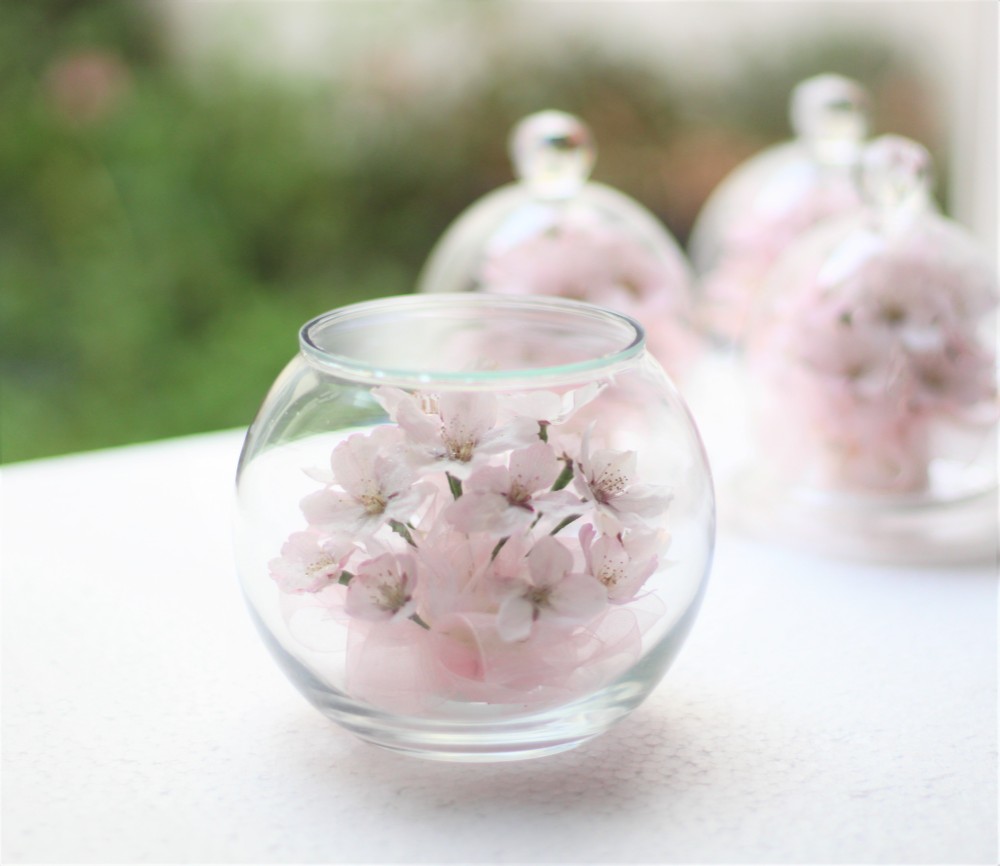 ❤ドライフラワー/桜のボールボトルフラワー（S)・染井吉野（ソメイヨシノ）母の日・誕生日・お見舞い・退職祝い