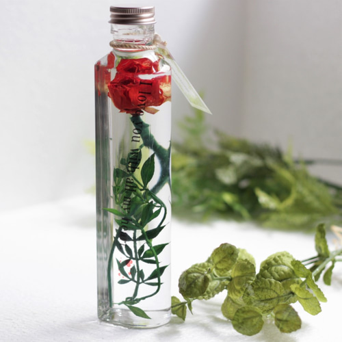 美女と野獣ハーバリウムメッセージ赤バラ/誕生日、結婚祝い  