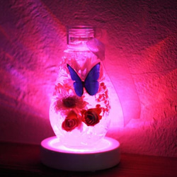 花とモルフォ蝶 ハーバリウム【桃】LEDイルミネーション/誕生日 結婚祝い プレゼント ボタニカル ドライフラワー　 5枚目の画像