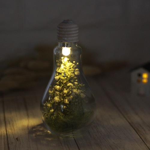 水草ランプと装飾用ドライフラワー ドライグリーン まとめて 照明 アンティーク 6e9392b570af982766683bc957fb66