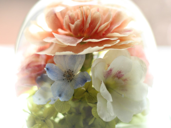 ❤春のお庭から…ボトルフラワー(グラスドーム・ダイヤ）/■ドライフラワー/敬老の日・誕生日・結婚祝い・退職祝い 5枚目の画像