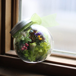 ❤カエル君のボトルランプ❤母の日・誕生日・結婚祝い・退職祝い 3枚目の画像