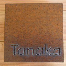 【　撮影サンプル　特別販売品　】オリジナルアイアン（鉄）抜き文字表札「Tanaka」 1枚目の画像