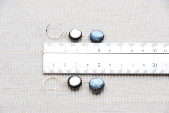 硬幣形石耳環黑珍珠貝（14kgf） 第5張的照片
