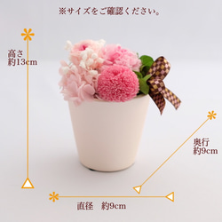 プリザーブドフラワー　花梨（かりん）全２色　ピンク　イエロー 3枚目の画像