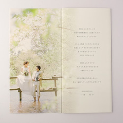 [sample]送料無料！ Wedding Profilebook & 席次表 “colors” 3枚目の画像