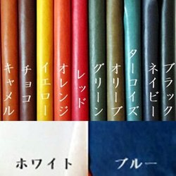 「受注生産：限定5点」春バッグミニ 3枚目の画像