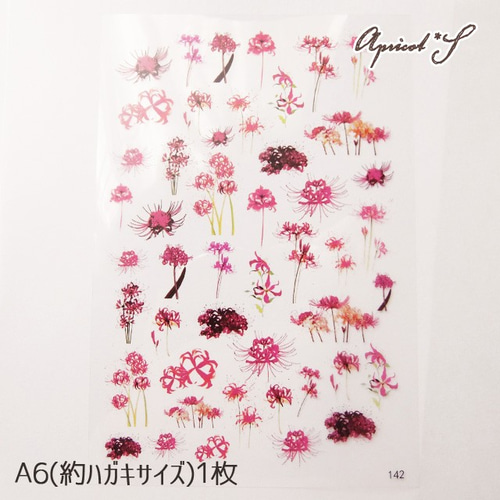 レジン用 封入素材 クリア デザインシート フィルム （1枚） ( 彼岸花