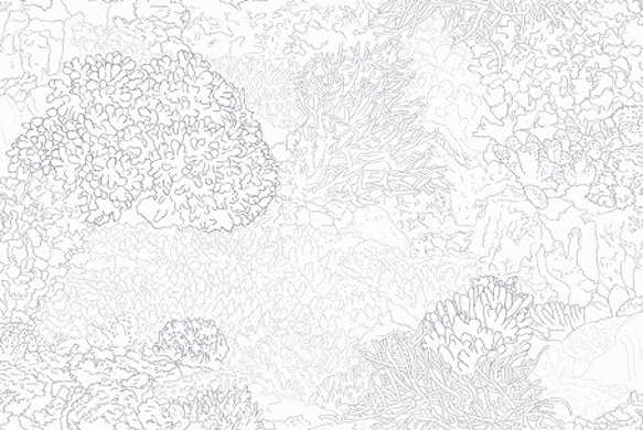 ツバキ加工特殊生地「サンゴの昼GY」保湿・抗菌♪カットクロス50cm×50cm 1枚目の画像