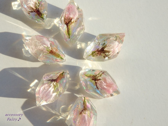 桜の宝石樹脂ノンホールピアス＊ソメイヨシノ＊本物のお花（ネジバネイヤリング・フープイヤリングもございます） 9枚目の画像