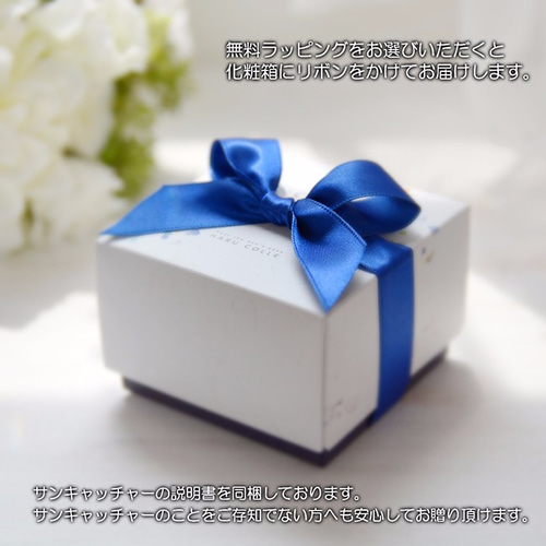 ギフトBOX付】夢実現サンキャッチャー はれる