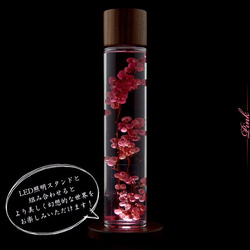 枯れないお花！ハーバリウム【ペッパーベリー（ピンク）】木製キャップ（ウォールナット材：ブラウン色） 5枚目の画像