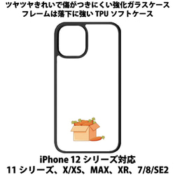 送料無料 iPhone13シリーズ対応 背面強化ガラスケース ダンボールとにんじん 1枚目の画像