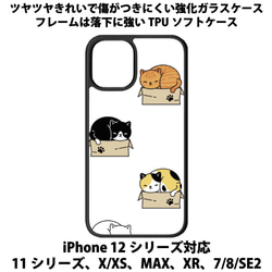 送料無料 iPhone13シリーズ対応 背面強化ガラスケース 猫ちゃん4 1枚目の画像