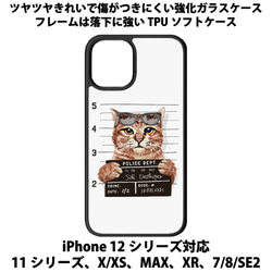 送料無料 iPhone13シリーズ対応 背面強化ガラスケース ネコ1 1枚目の画像