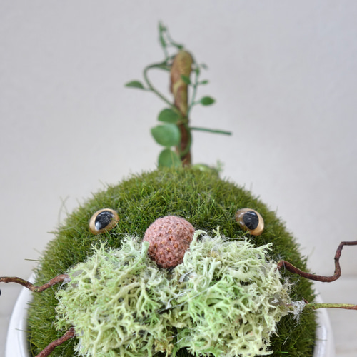 フェイク苔玉のマルコ アートフラワー Suntrap* 通販 1306897｜Creema