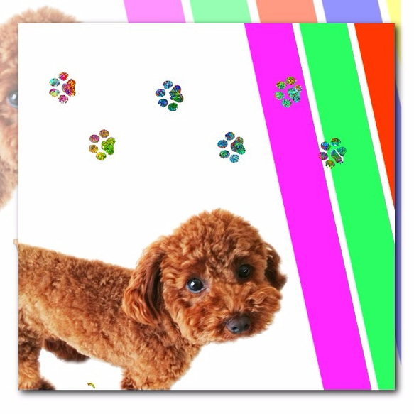 可愛的iPhone Android的筆記本型手機殼貴賓犬 - 免費送貨 第2張的照片