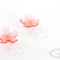 桜のクリアピアス 1枚目の画像
