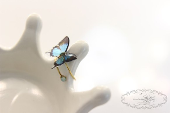蝶のリング(クリア) 1枚目の画像