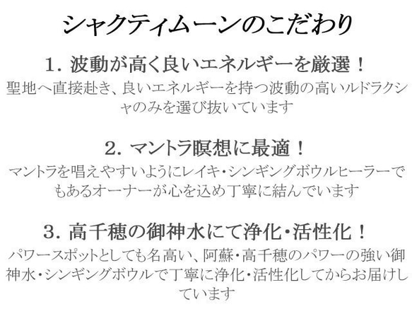 【人間関係や家庭を円満に保ちたいあなたへ！ひと粒ブルーレースアゲート】5mm・6mm天然石ルドラクシャブレスレット（菩提 3枚目の画像