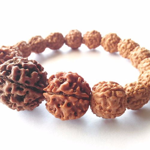 6面（ムキ）】ルドラクシャブレスレット（菩提樹の実） ブレスレット