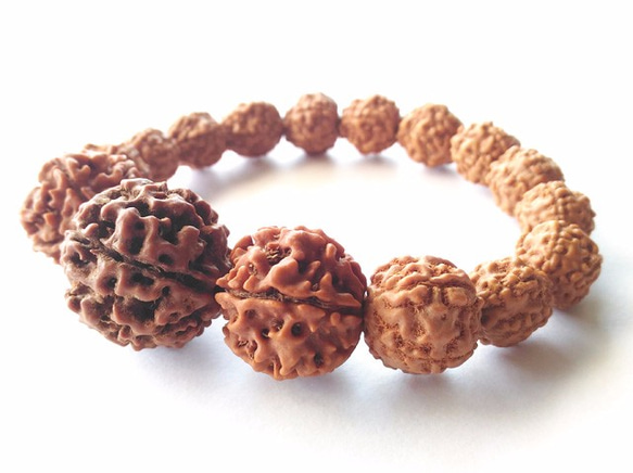 6面（ムキ）】ルドラクシャブレスレット（菩提樹の実） ブレスレット