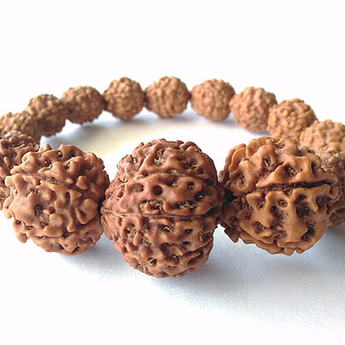 9面（ムキ）大粒・コレクターズ】ルドラクシャブレスレット