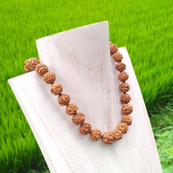 中粒ルドラクシャネックレス（菩提樹の実）・シルバー925 ネックレス