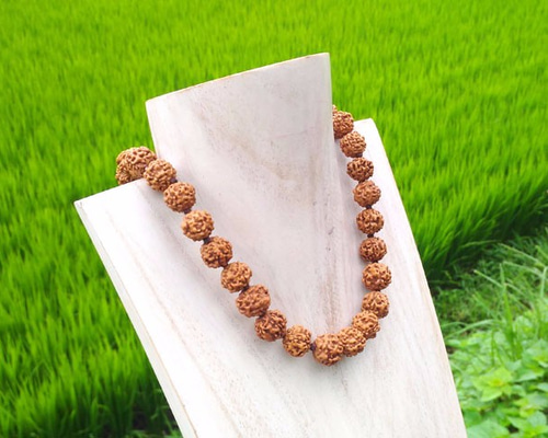9ムキ(面)のルドラクシャ10mm x 12mmのネックレス　インド占星術 数珠 インドの数珠 ネックレス 首飾り ドクロとルドラクシャ（菩提樹
