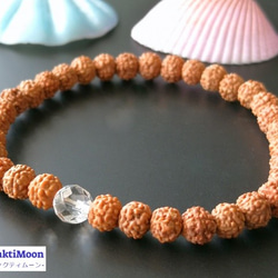 レア希少！極小4mm5mm・6mm小粒ルドラクシャ×ひと粒プレミアムカット水晶】ルドラクシャブレスレット菩提樹の実 3枚目の画像