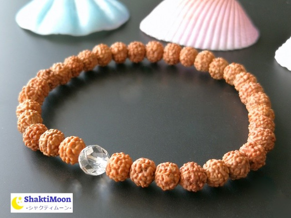 レア希少！極小4mm5mm・6mm小粒ルドラクシャ×ひと粒プレミアムカット水晶】ルドラクシャブレスレット菩提樹の実 3枚目の画像