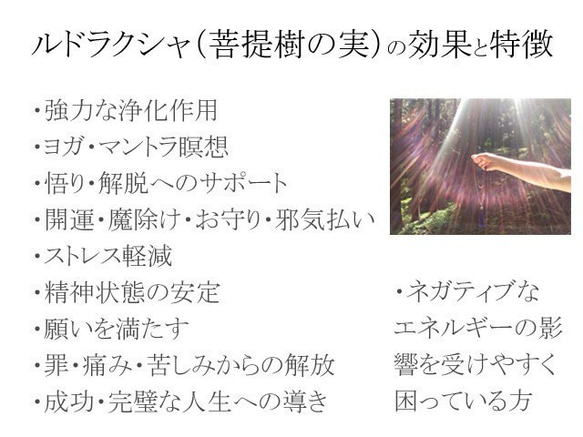 【レア・希少！1点もの！特大10面（ムキ）困難を乗り越え、前へ進みたいあなたへ！コレクターズ・ルドラクシャブレスレット】 6枚目の画像