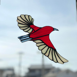 ステンドグラス サンキャッチャー 　赤い鳥 ～アパパネ B～ 1枚目の画像