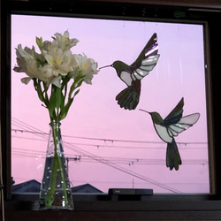 ステンドグラス サンキャッチャー ハチドリ ～Hummingbird～ [Gb] 3枚目の画像
