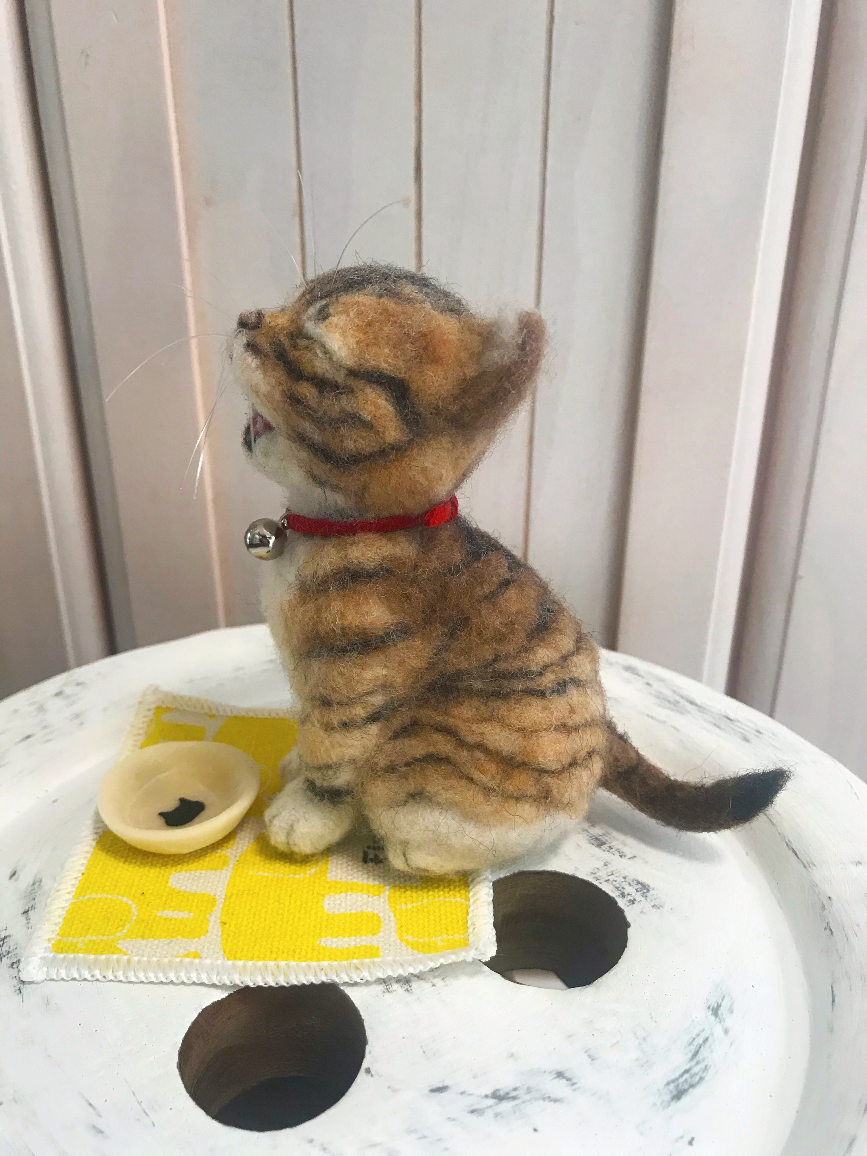 お腹を空かせた子猫ちゃん