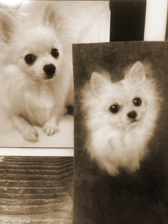 羊毛イラストで描く愛犬ちゃん 2枚目の画像