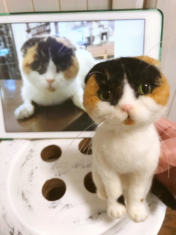 愛猫ちゃんそっくり人形(Sサイズ)オーダー作品:白三毛ちゃん 1枚目の画像