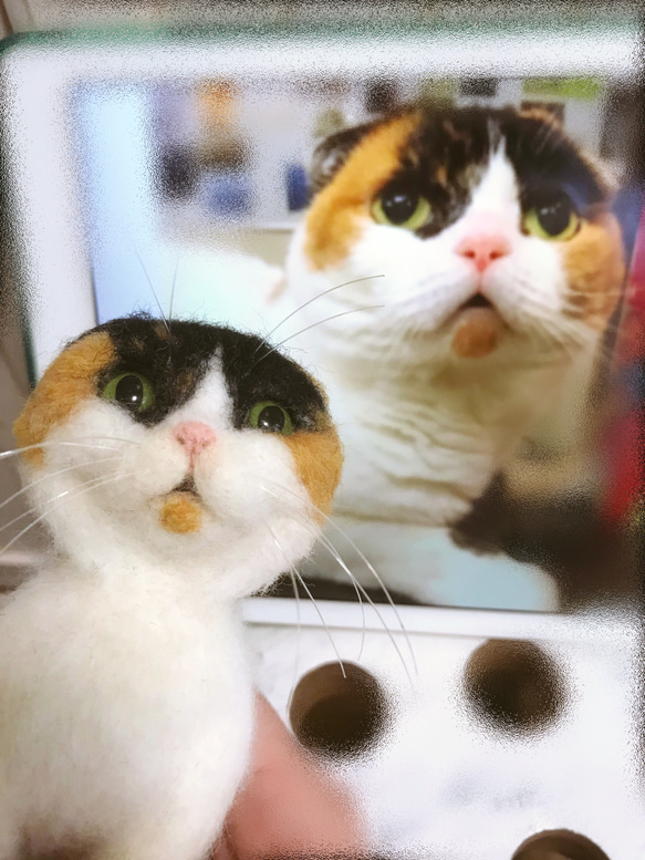 愛猫ちゃんそっくり人形(Sサイズ)オーダー作品:白三毛ちゃん 2枚目の画像