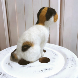 愛猫ちゃんそっくり人形(Sサイズ)オーダー作品:白三毛ちゃん 9枚目の画像