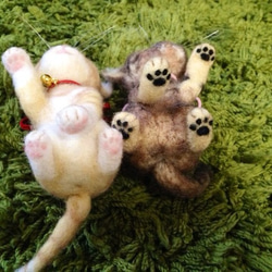 羊毛フェルト:愛猫ちゃんそっくり人形:ゆい様オーダー作品(にゃーすちゃん) 4枚目の画像