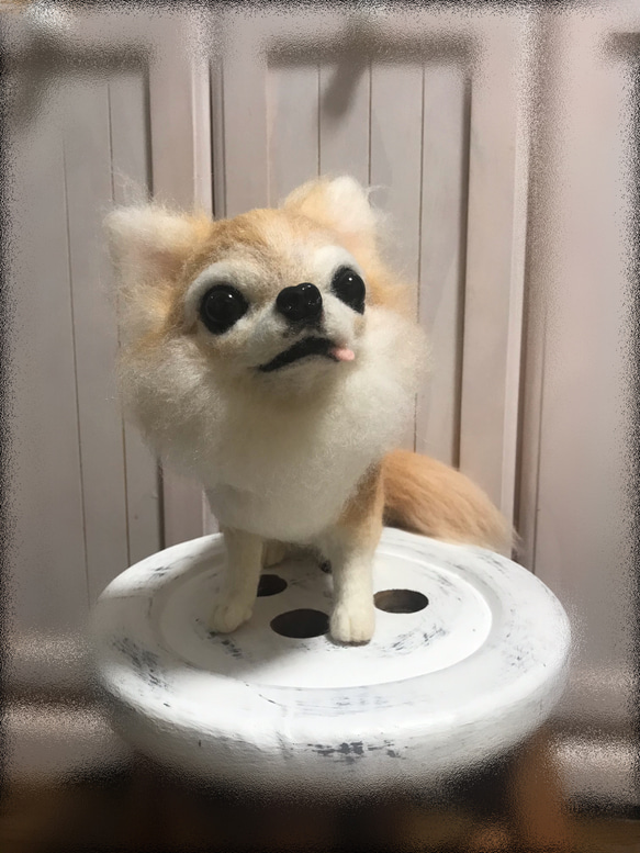 愛犬ちゃんそっくり人形(Mサイズ)オーダー作品:チワワちゃん 4枚目の画像