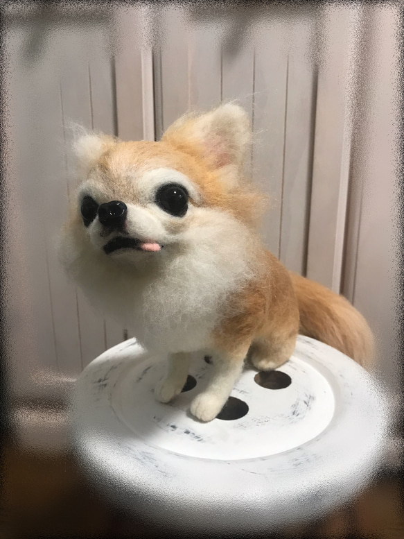 愛犬ちゃんそっくり人形(Mサイズ)オーダー作品:チワワちゃん 5枚目の画像